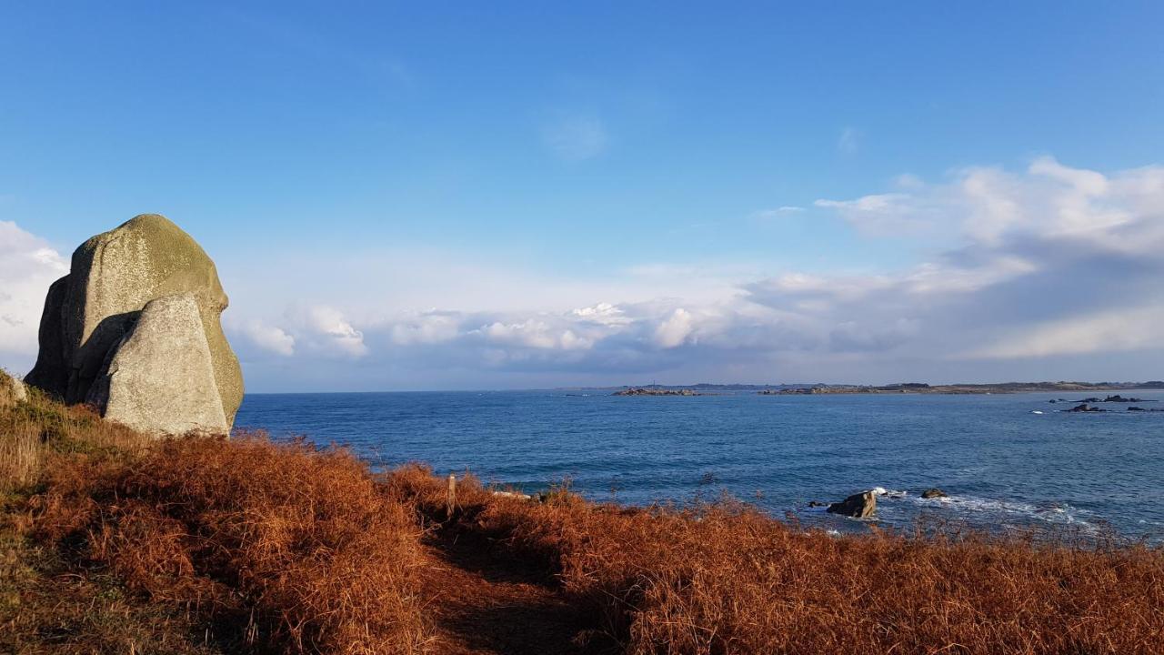 Maison De Vacances Bord De Mer Sibiril Mogueriec Finistere La Villa Leonie Экстерьер фото